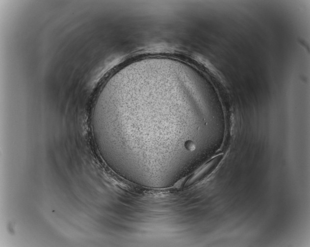 X0000099321213200805161352