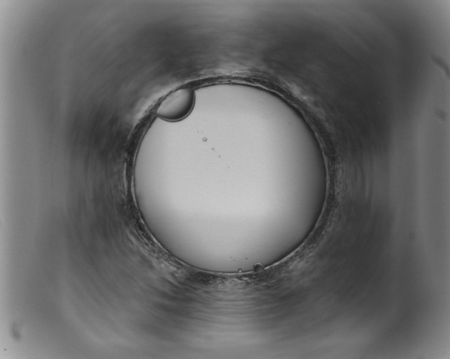 X0000099321214200805161352