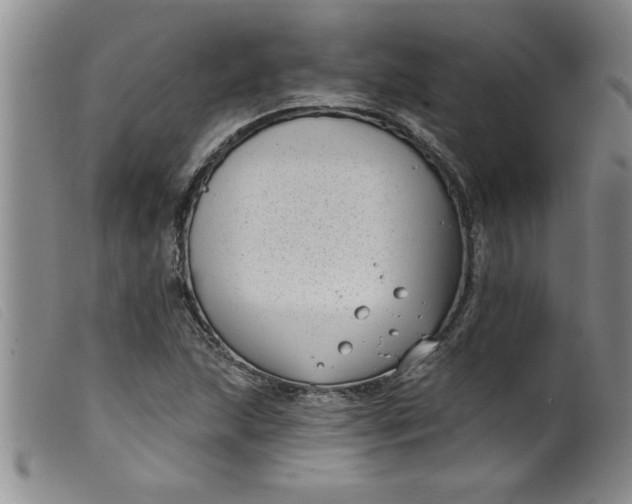 X0000099321215200805161352