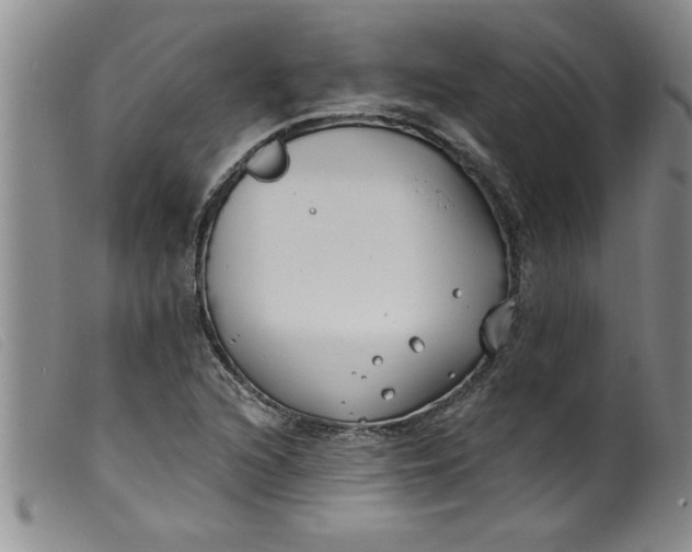 X0000099321216200805161352