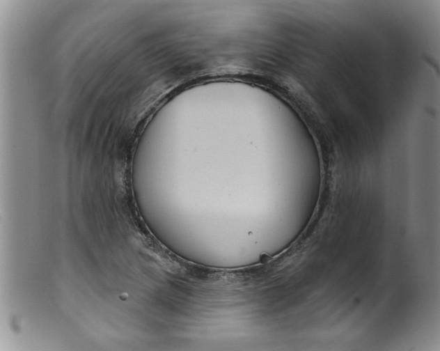 X0000099321217200805161352