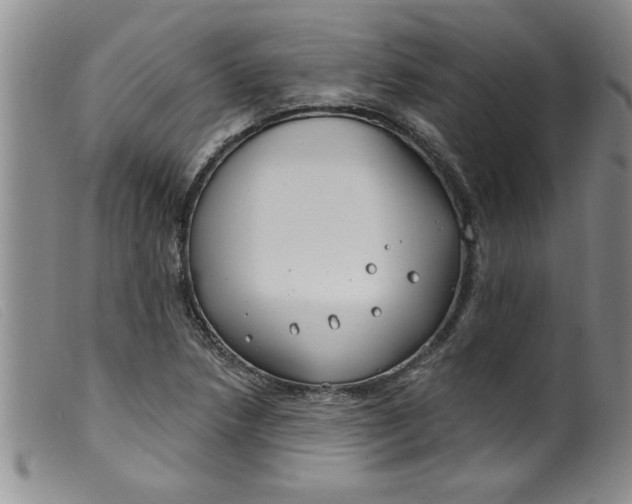 X0000099321218200805161353