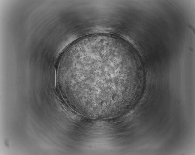 X0000099321219200805161353