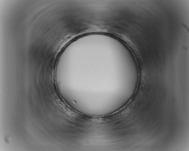 X0000099321220200805161353