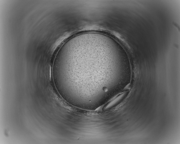 X0000099321221200805161353