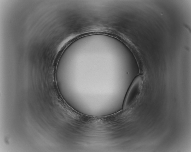 X0000099321222200805161353