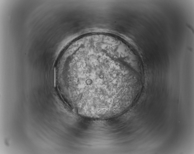 X0000099321223200805161353