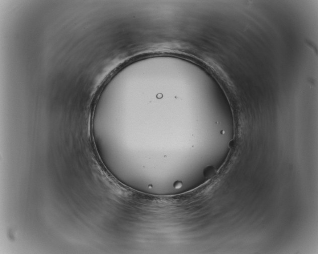 X0000099321224200805161353