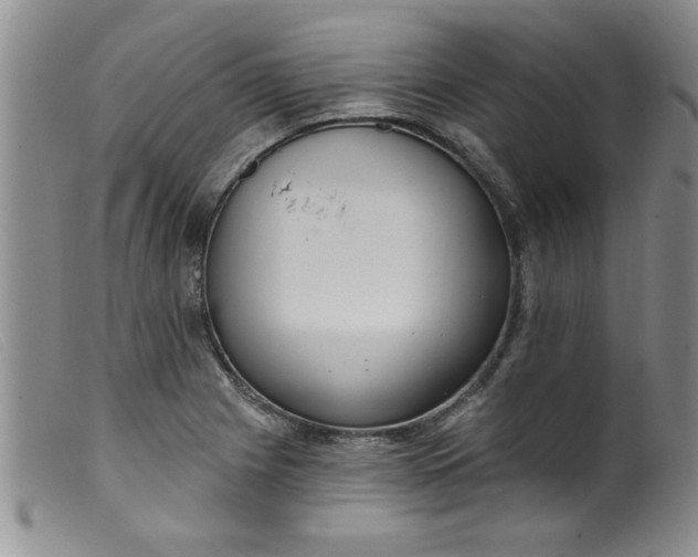 X0000099321225200805161353