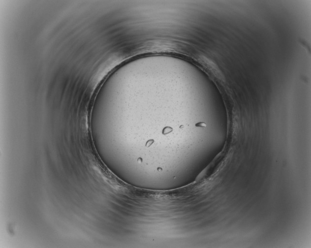 X0000099321226200805161353