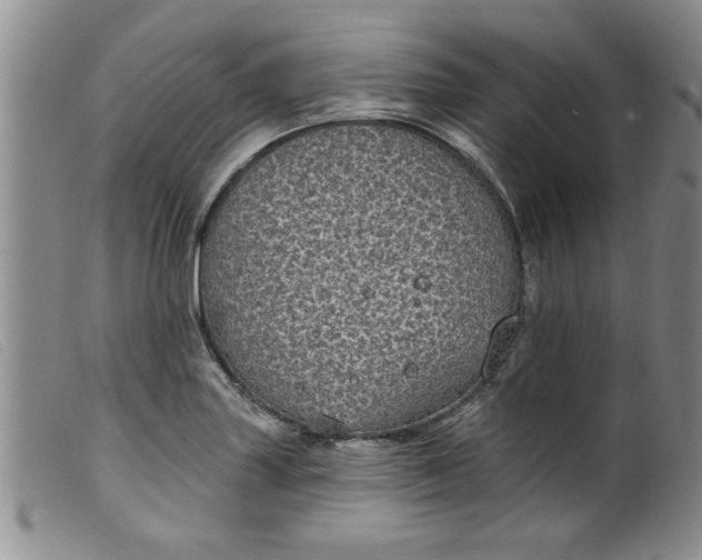 X0000099321227200805161353