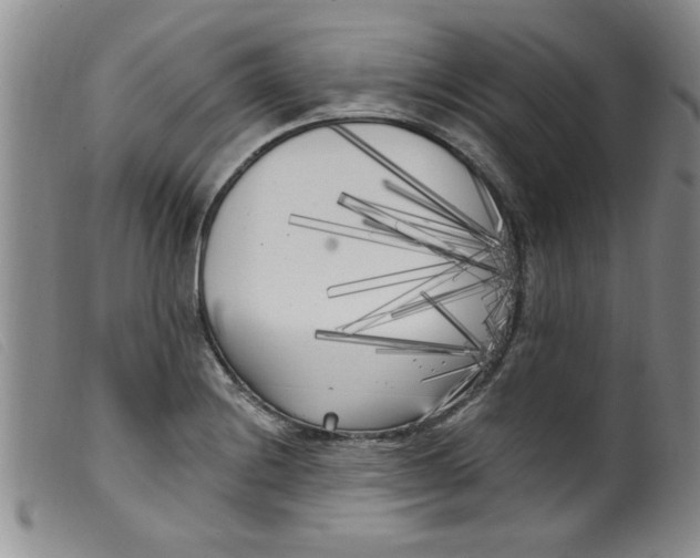 X0000099321228200805161353