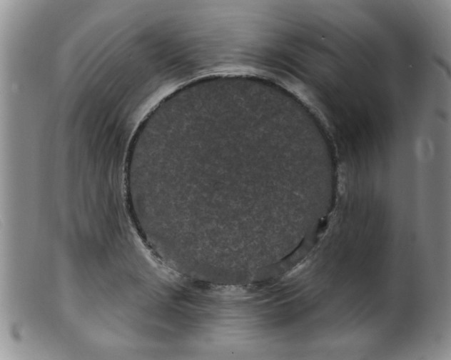 X0000099321229200805161353