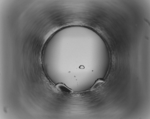 X0000099321230200805161353