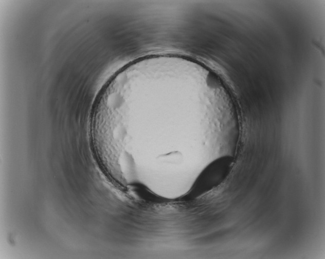 X0000099321231200805161353