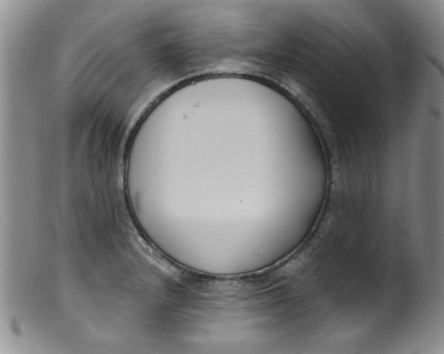 X0000099321232200805161353