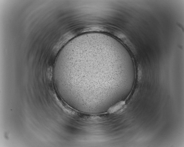 X0000099321233200805161353