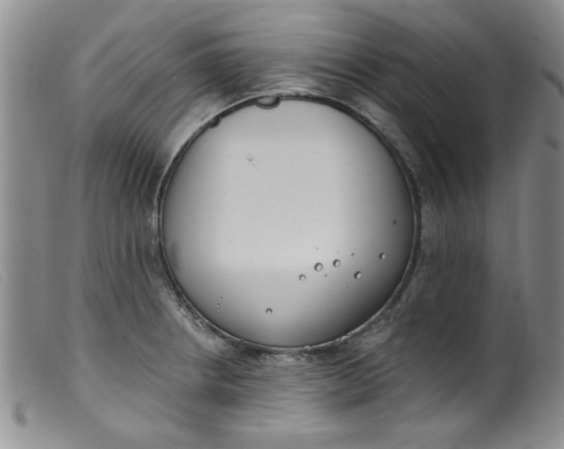 X0000099321234200805161353