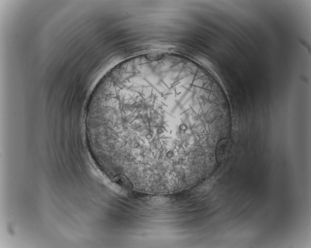 X0000099321235200805161353