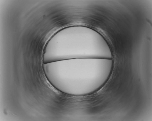 X0000099321236200805161353