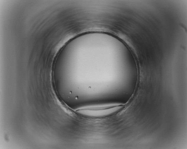 X0000099321237200805161353