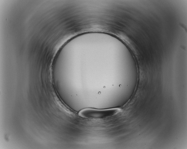 X0000099321238200805161353