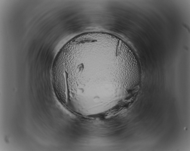 X0000099321239200805161353