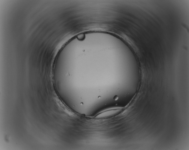 X0000099321240200805161353