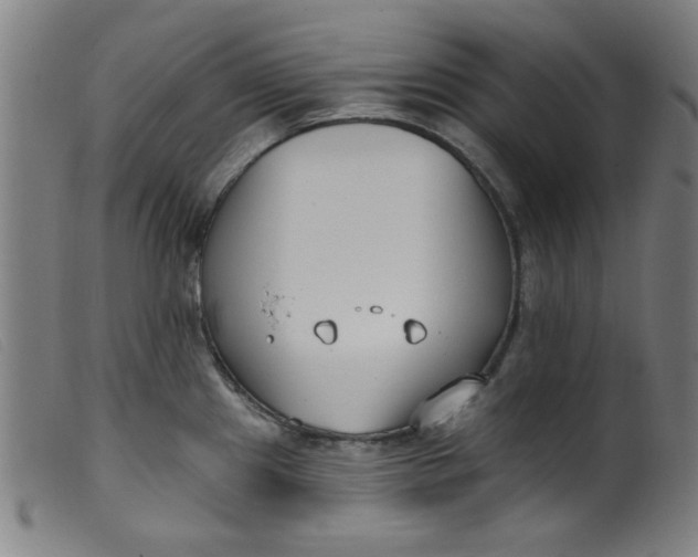 X0000099321241200805161353