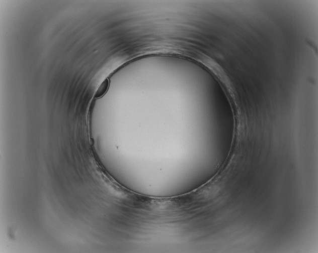 X0000099321242200805161353