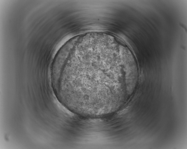 X0000099321243200805161353