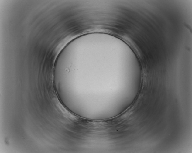 X0000099321244200805161353