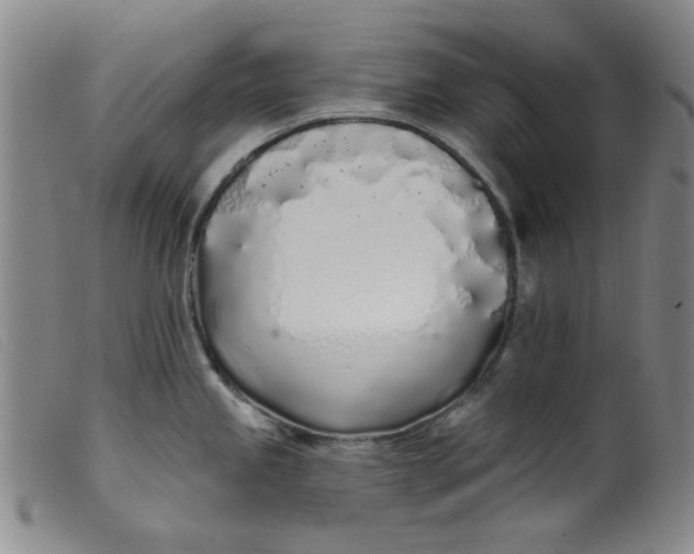 X0000099321245200805161353