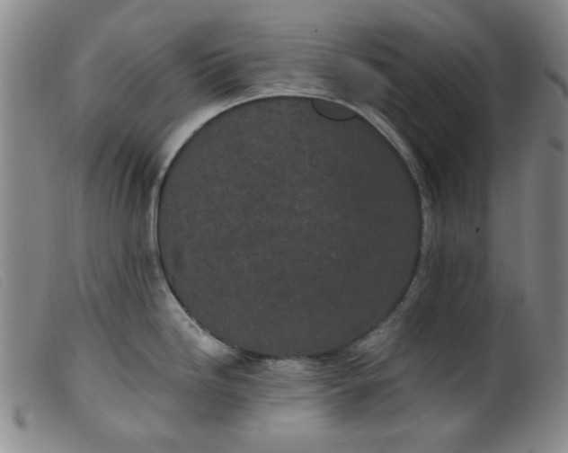 X0000099321246200805161353