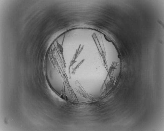 X0000099321247200805161353