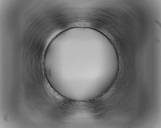 X0000099321248200805161353