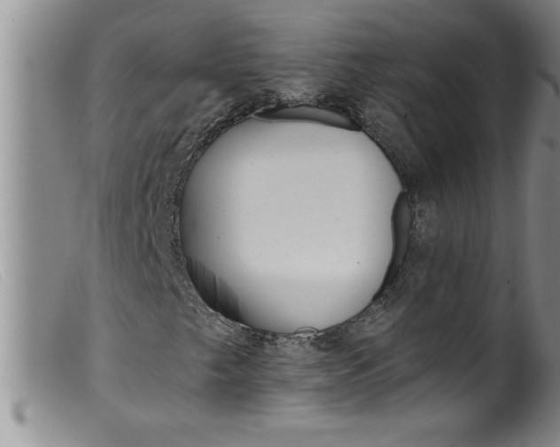 X0000099321249200805161352