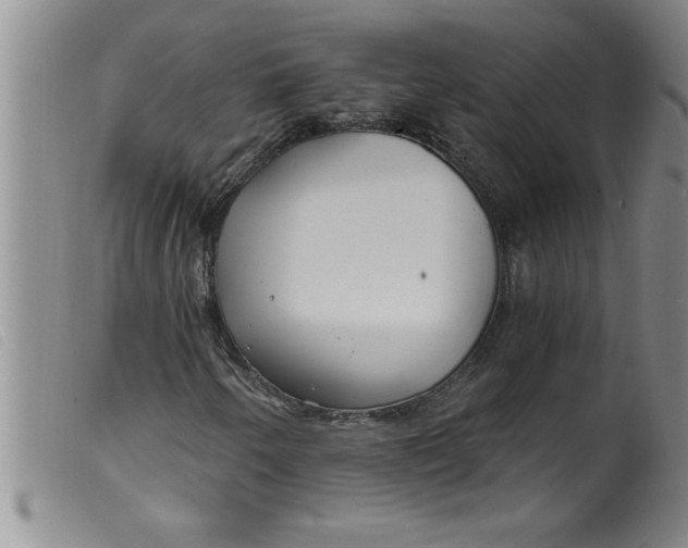 X0000099321250200805161352