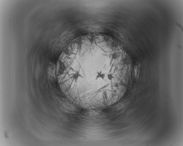 X0000099321251200805161352