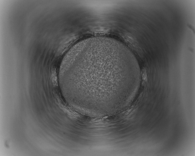 X0000099321252200805161352