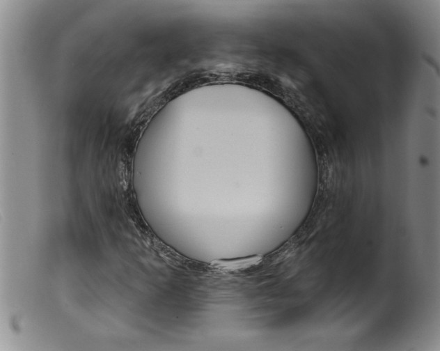 X0000099321253200805161352