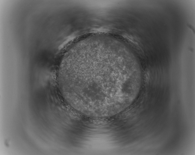 X0000099321254200805161352