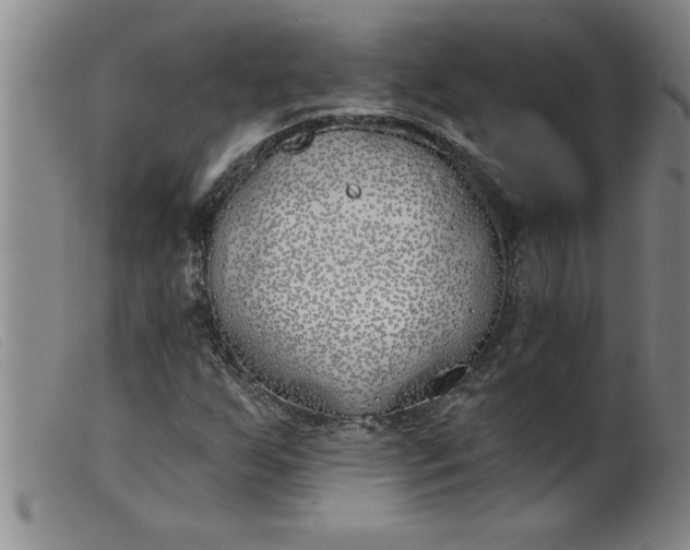 X0000099321255200805161352