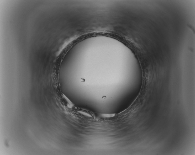 X0000099321256200805161352