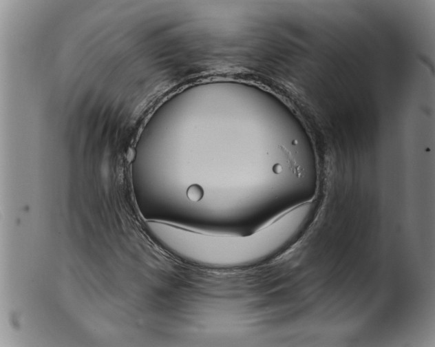 X0000099321257200805161352