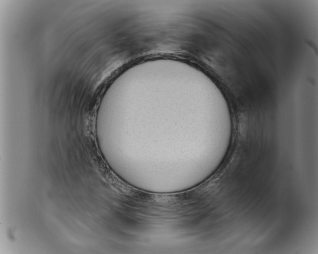 X0000099321258200805161352