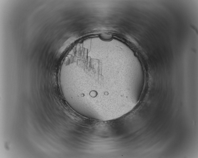 X0000099321259200805161352