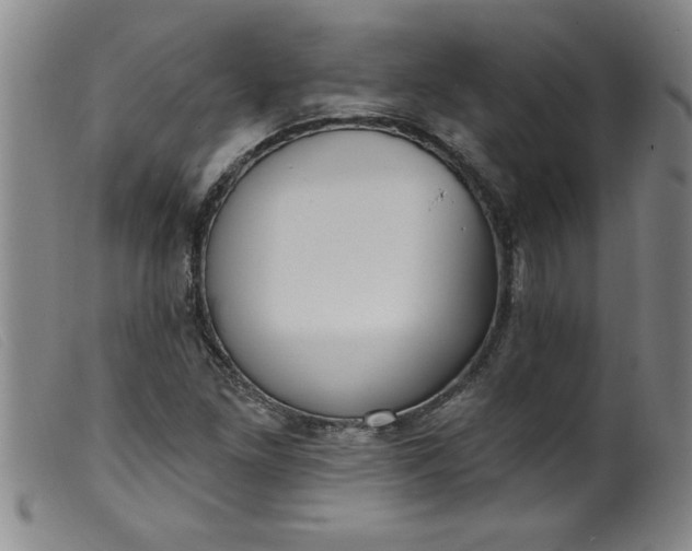 X0000099321261200805161352