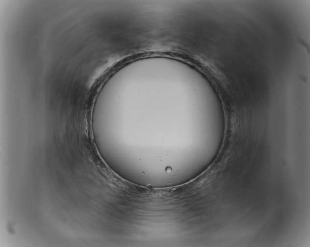 X0000099321262200805161352