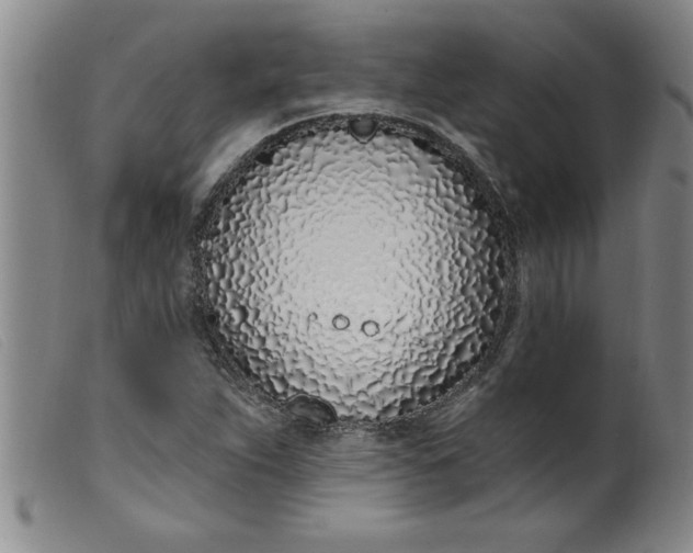 X0000099321263200805161352